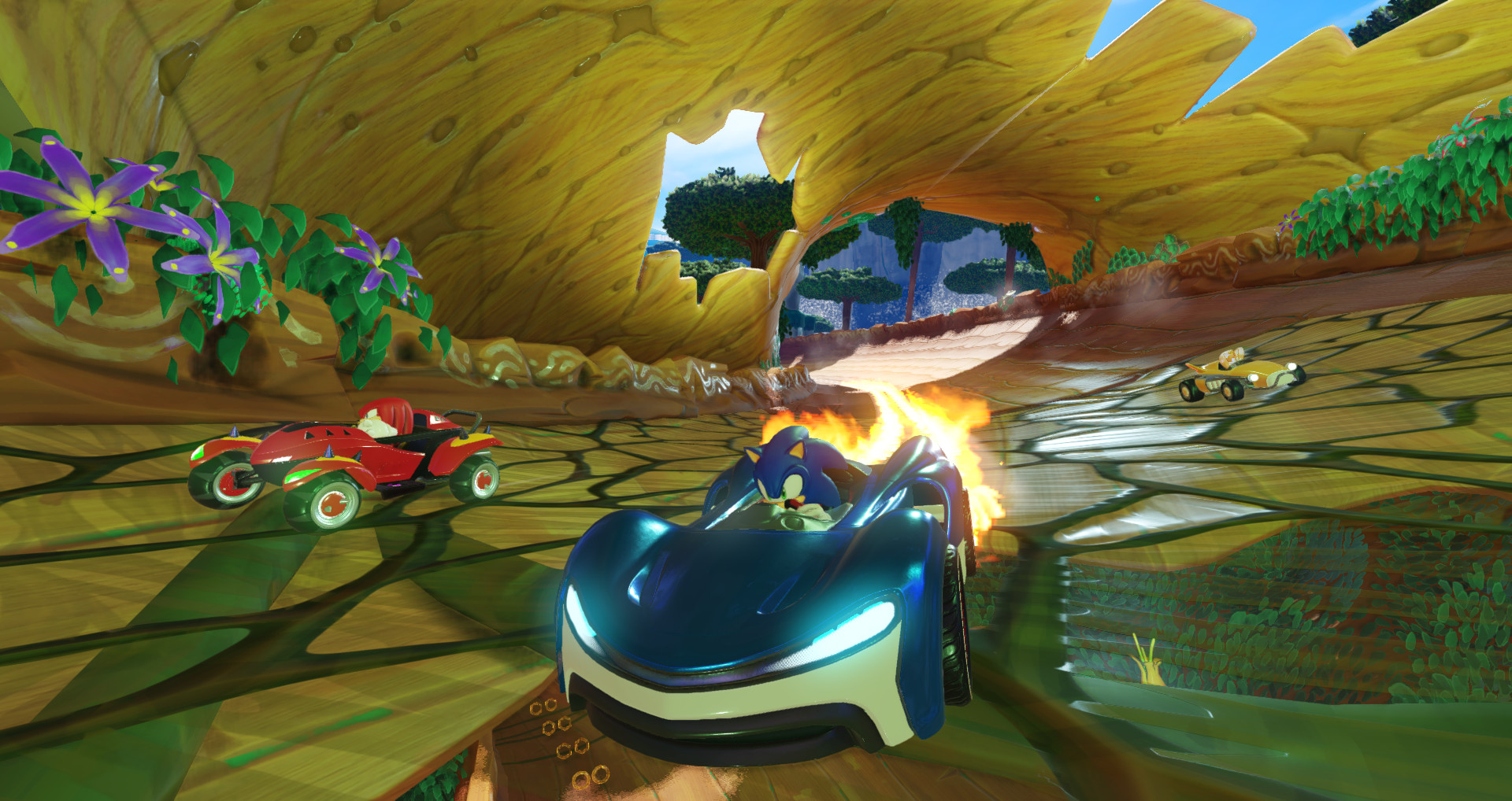 《索尼克团队赛车/Team Sonic Racing》PC中文完整版下载_0