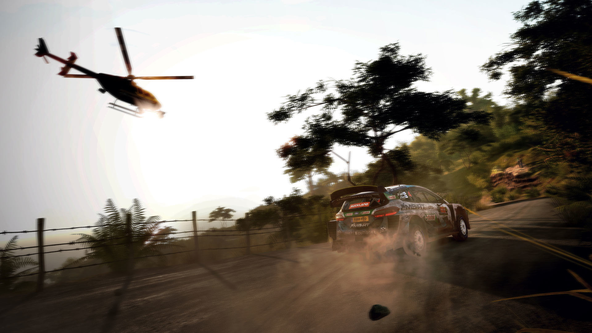 《世界汽车拉力锦标赛9/WRC 9 FIA World Rally Championship》PC中文完整版下载_0