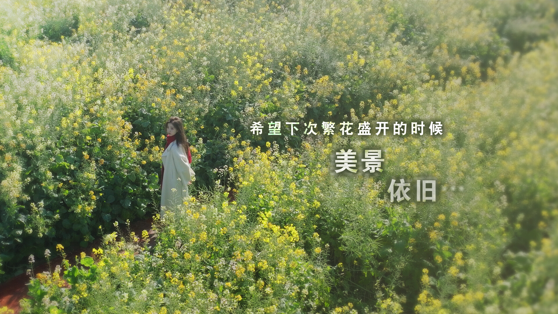 《这个是真的喜欢！/I’ve Fallen For You!》PC中文版下载_3