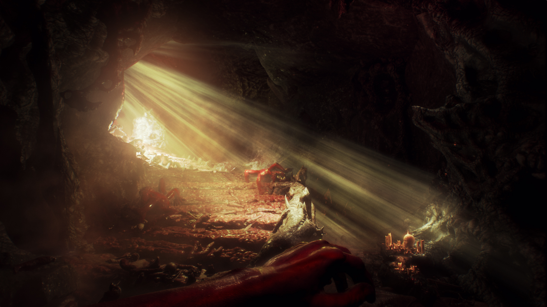 PC游戏《痛苦地狱/Agony》中文未分级版下载_0