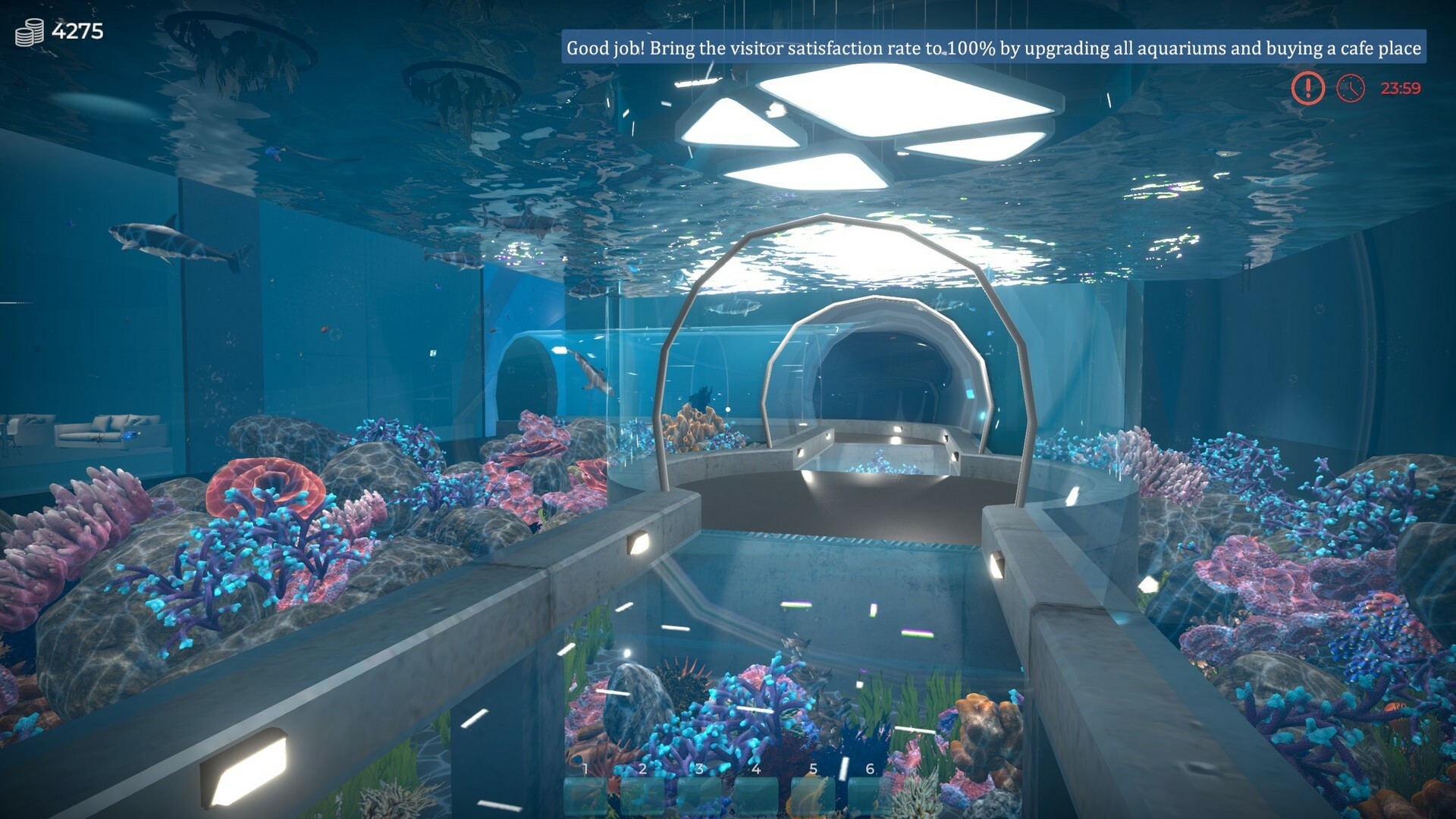 《Aquarist – 建造水族馆，养鱼，发展你的事业！》PC中文版下载-含v20250915_0