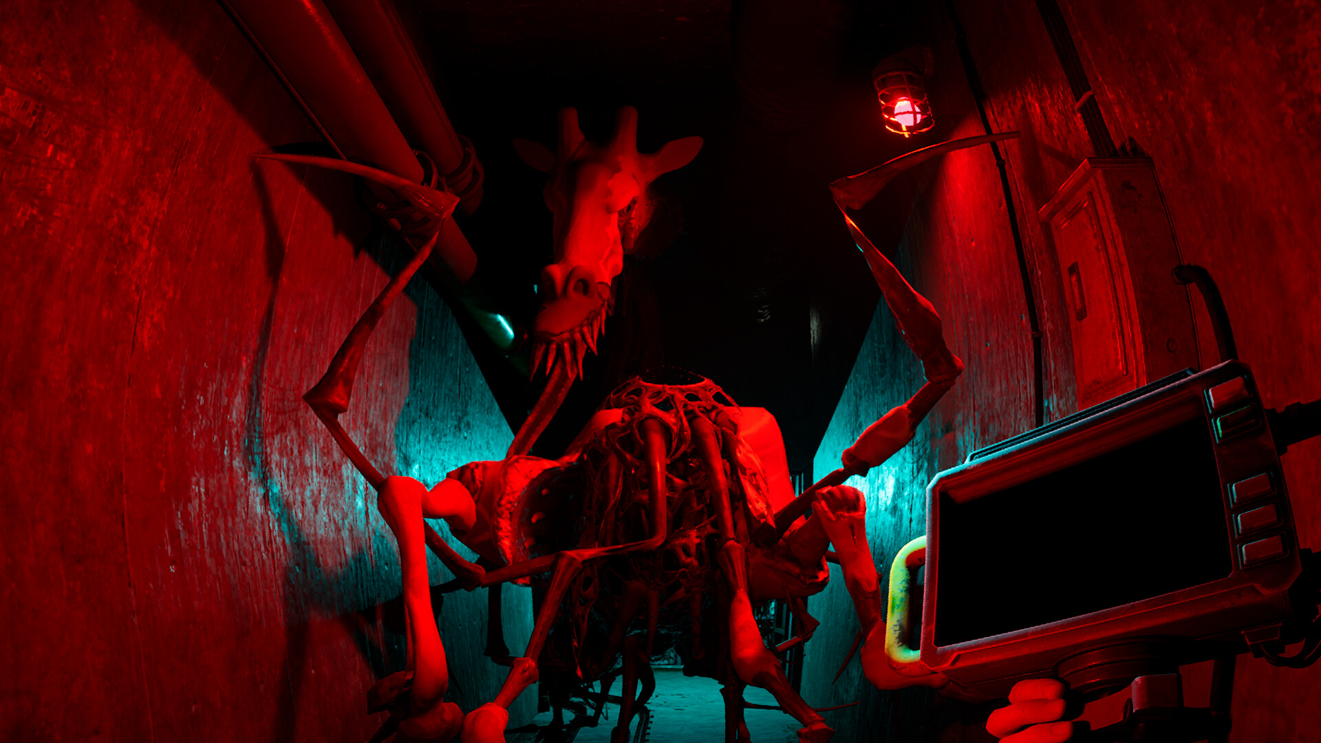 《癫狂动物园/Zoochosis》PC中文版下载-含v20250830_1