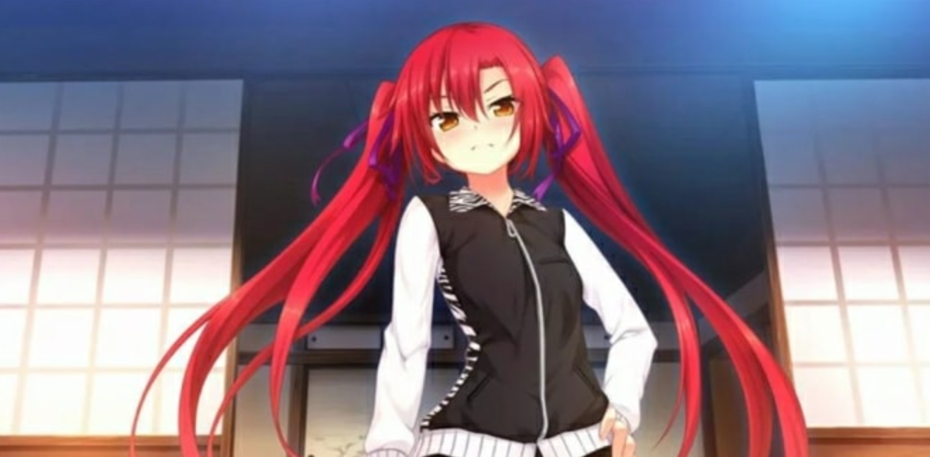 《野良与皇女与流浪猫之心2 Nora and Princess and Stray Cat Heart 2》Switch日文版NSP下载_0