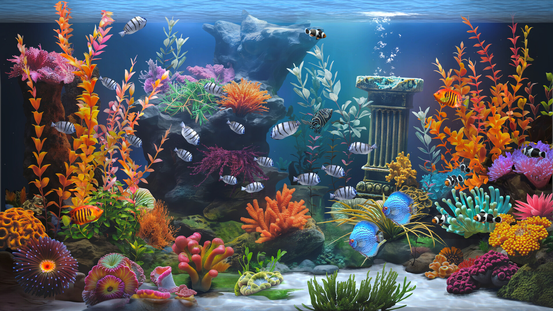 《禅意水族馆/Zen Aquarium》PC中文版下载-含Build.20073752_1