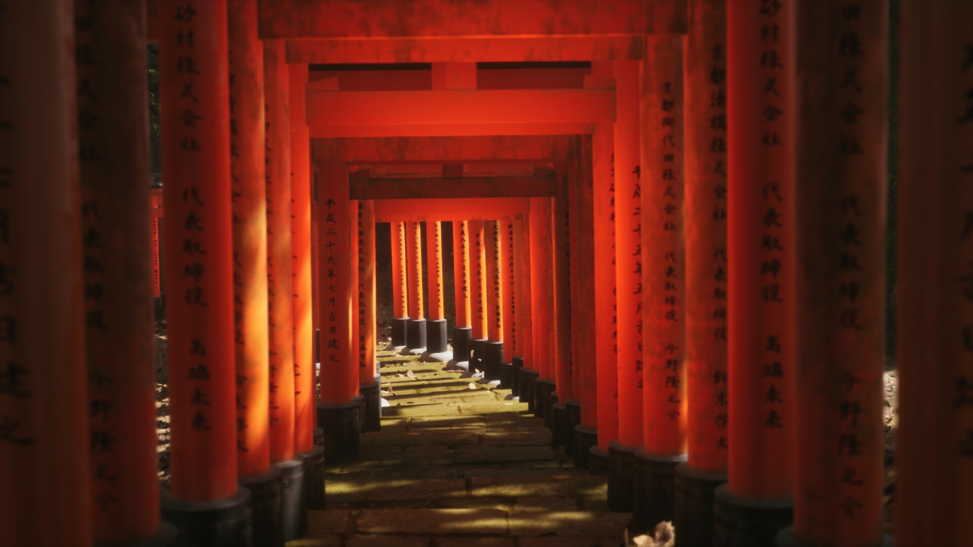 《模拟美景摄影/Lushfoil Photography Sim》PC中文版下载-含v20250930_0