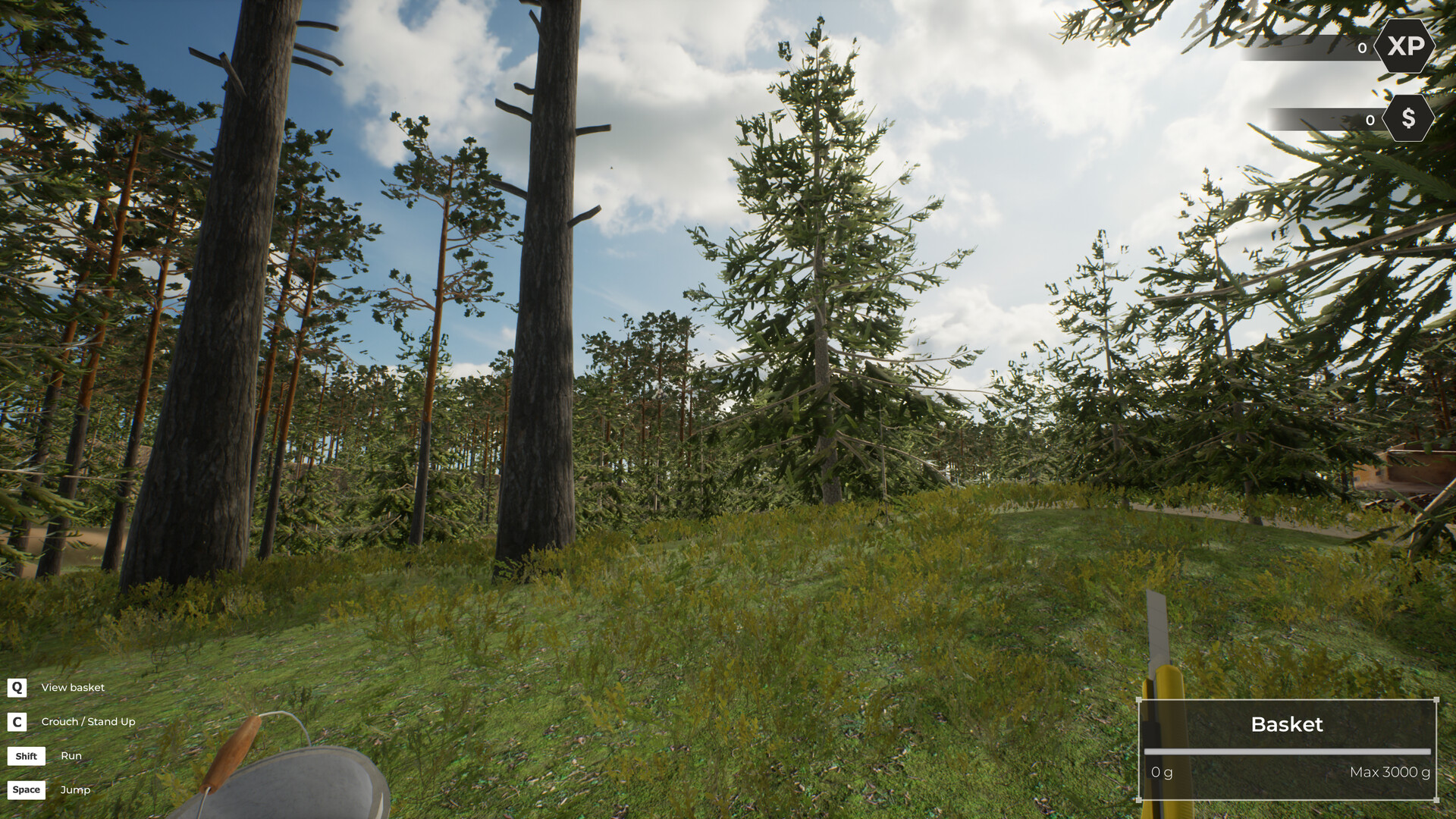 《蘑菇猎人世界/Mushroom Hunter World》PC中文版下载-含Build.20194458_1