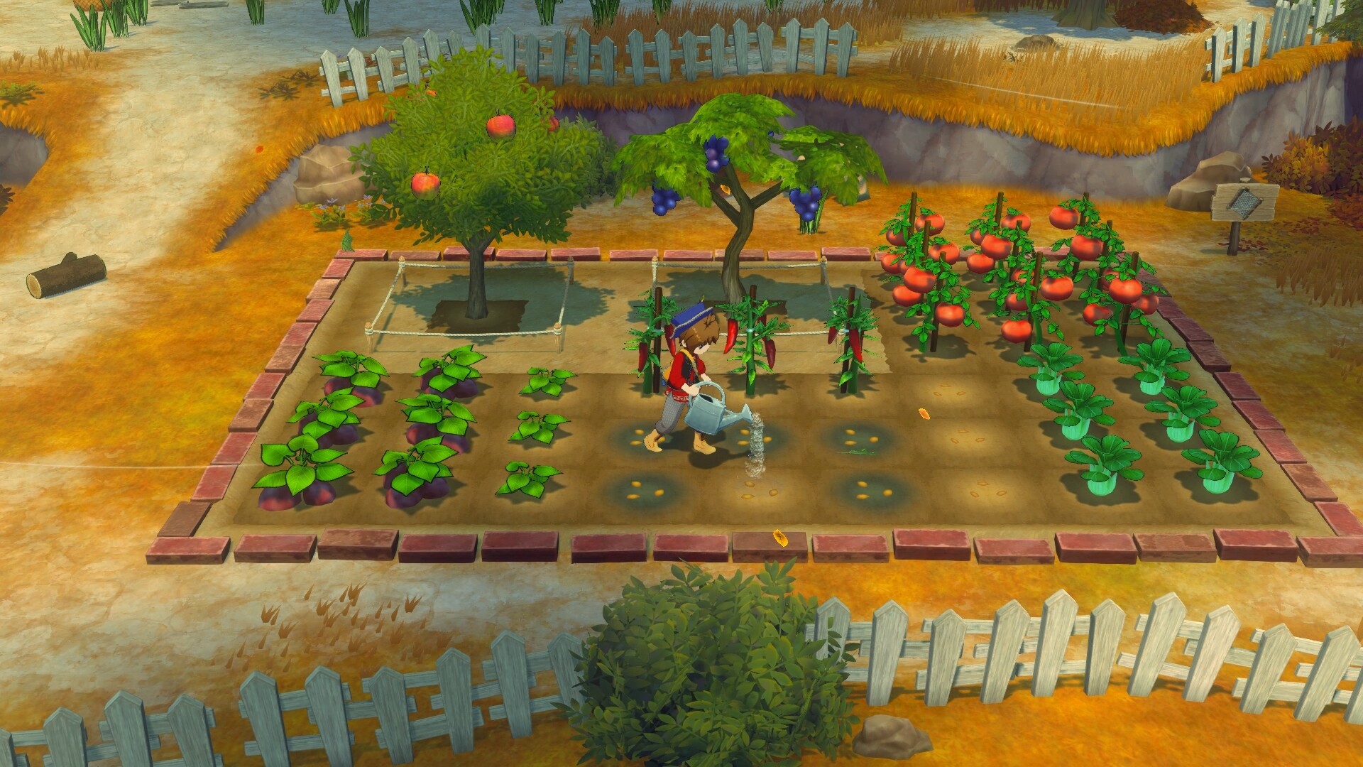 《牧场物语 来吧！风之繁华集市/STORY OF SEASONS: Grand Bazaar》PC中文版下载-含v1.1.0_1