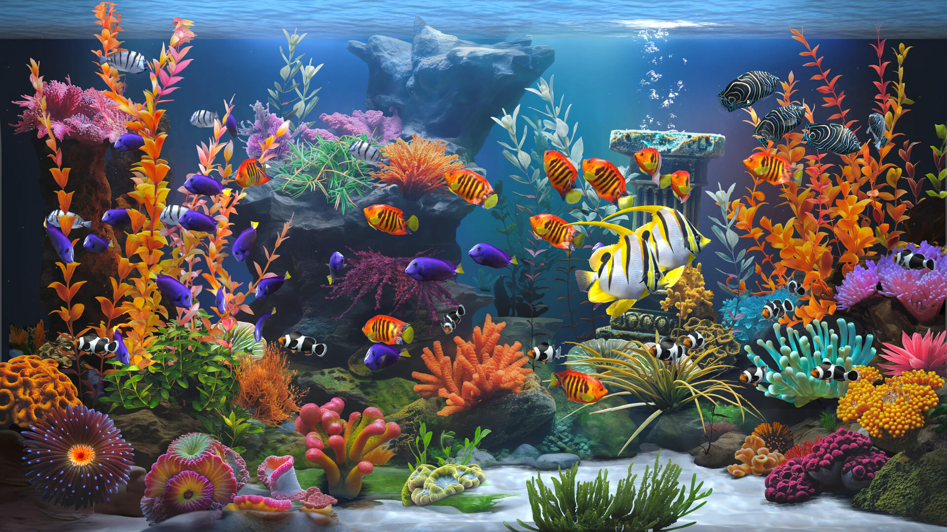 《禅意水族馆/Zen Aquarium》PC中文版下载-含Build.20073752_0
