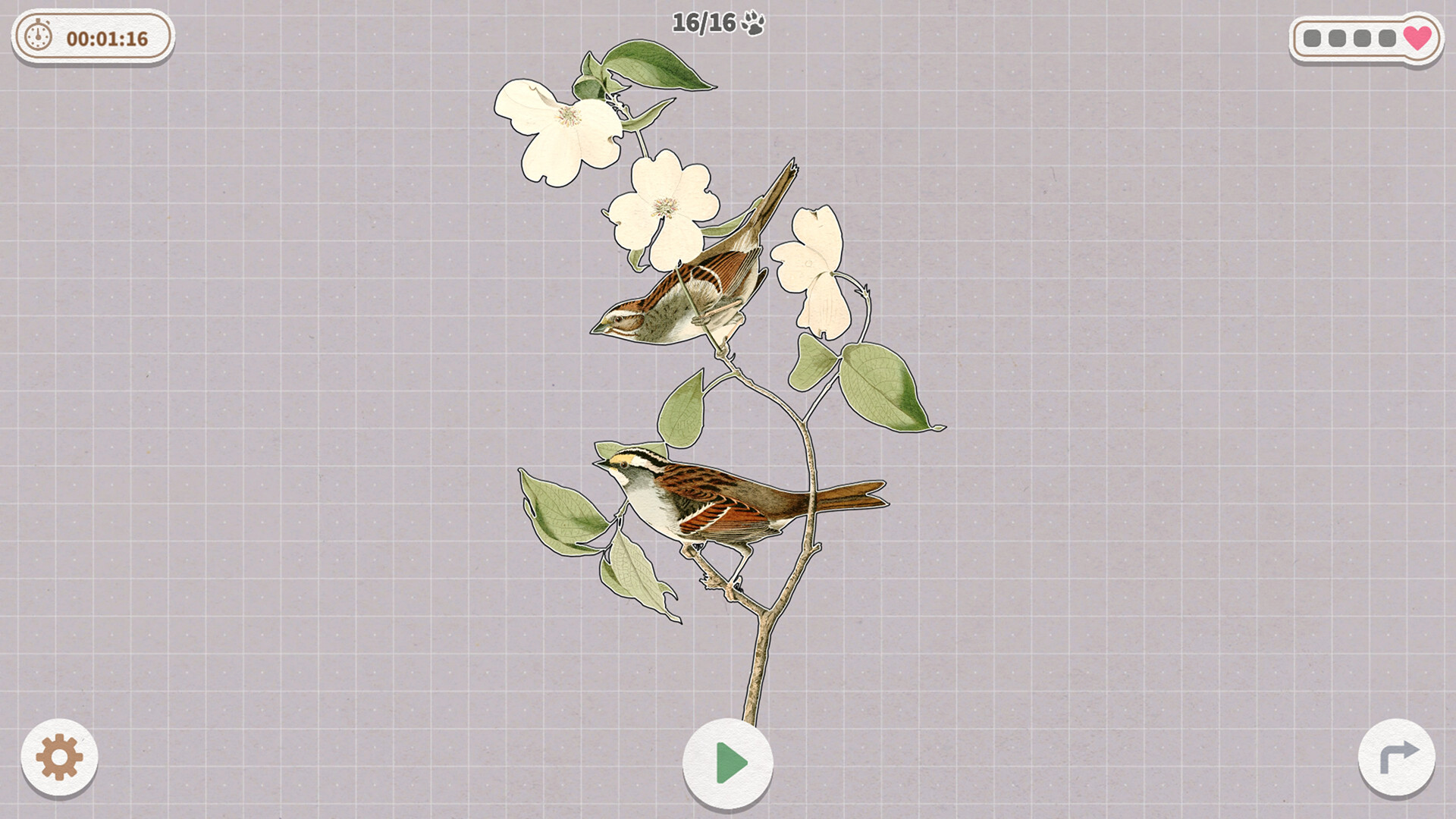 《挤在一起的鸟鸟/Birds Huddled Together》PC中文版下载-含Build.14298719_0