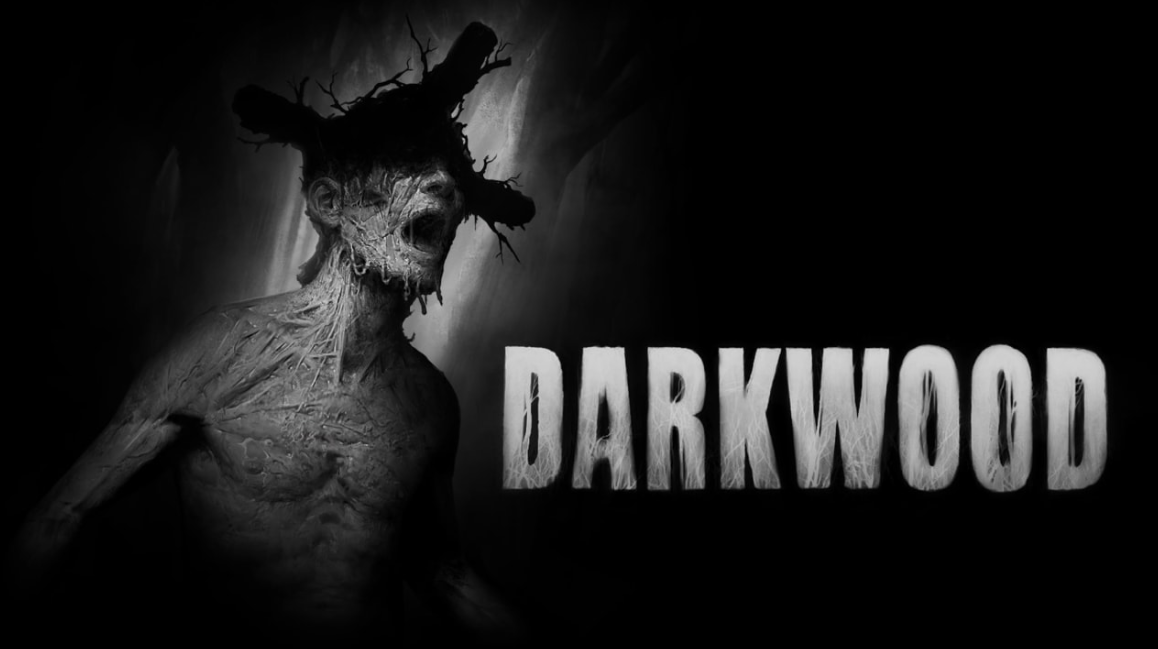 《阴暗森林 Darkwood》Switch中文版NSP下载_0