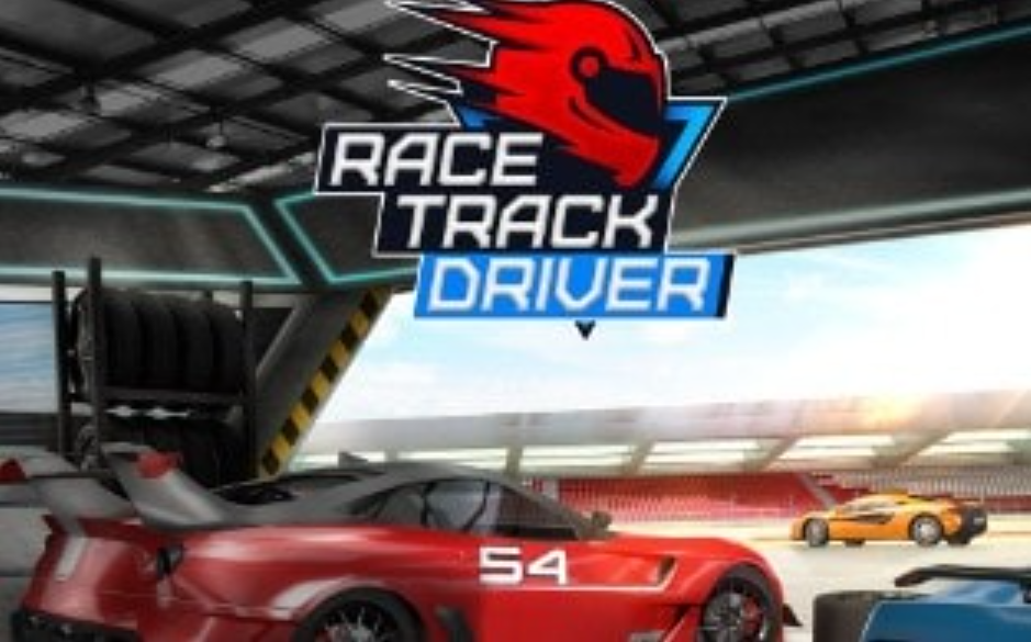 《赛道车手 Race Track Driver》Switch英文版NSP下载_0