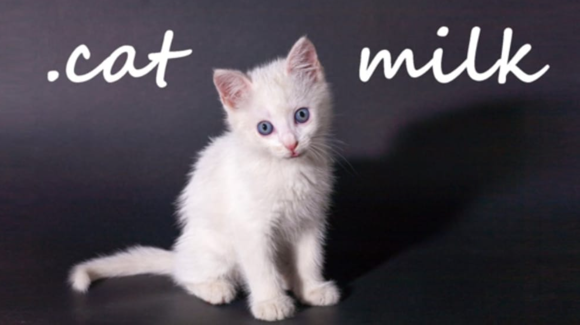 《小奶猫 .cat Milk》Switch英文版NSP下载_0