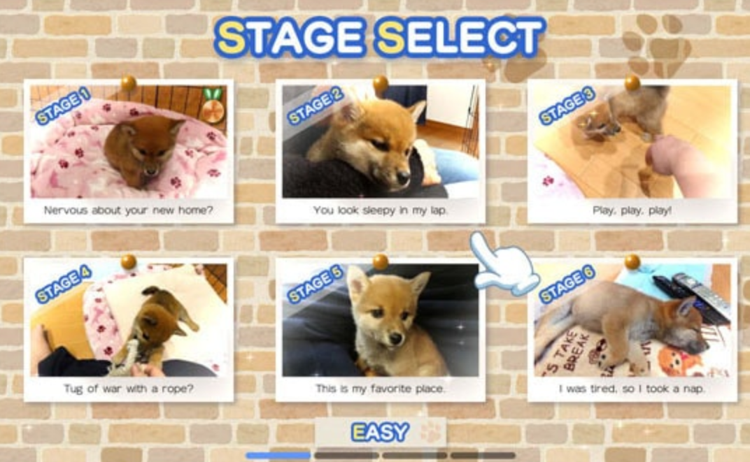 《像素游戏制作大师：我爱一条柴犬 Pixel Game Maker Series Shiba Mekuri》Switch英日文版NSP下载_0