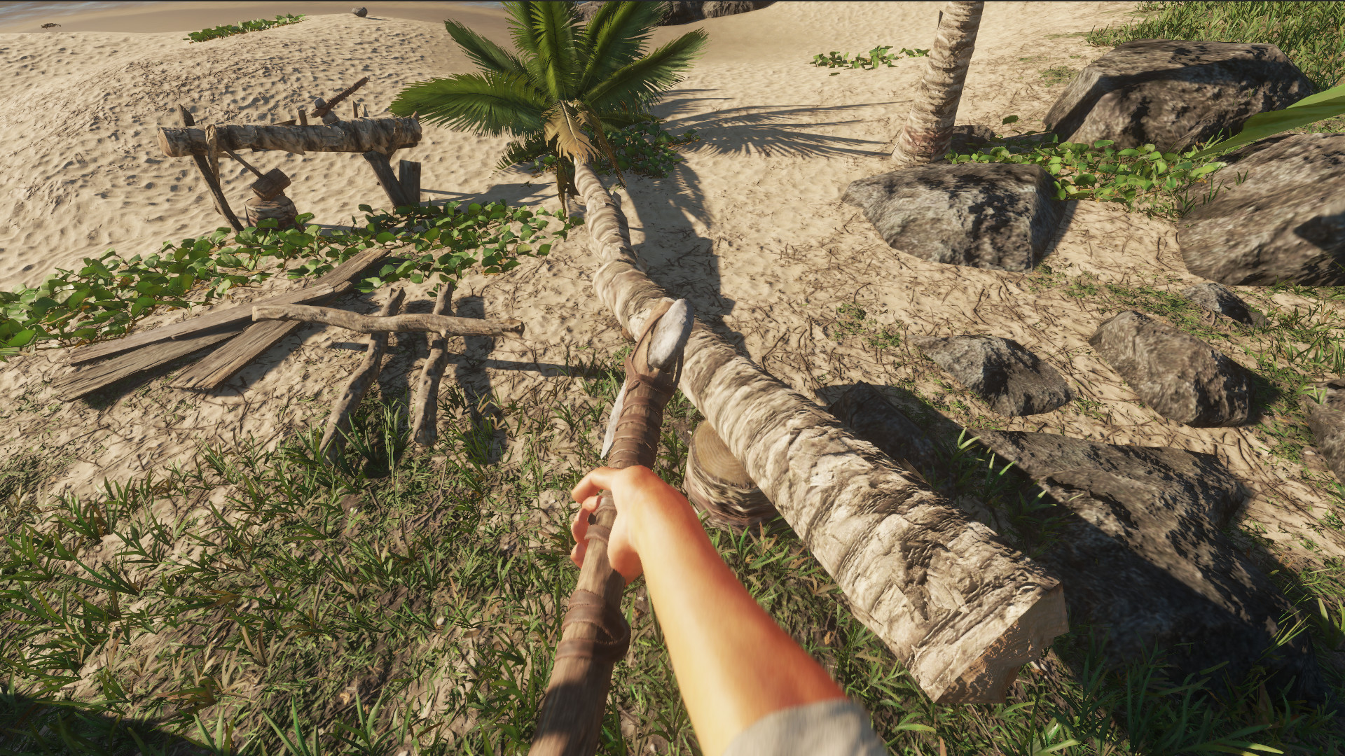 《荒岛求生 Stranded Deep》Switch中文版NSP下载 – 含1.0.3补丁_2