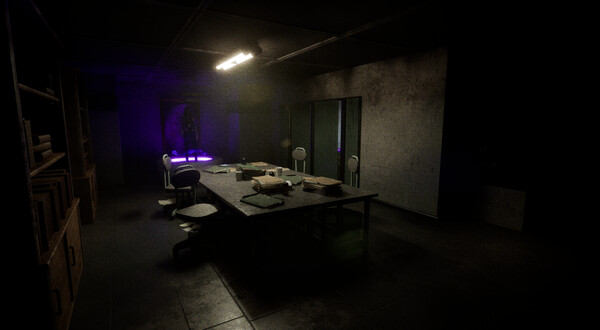 《紫罗兰/Violet》PC中文版下载-含Build.20322970_2