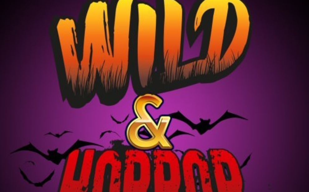 《狂野和恐怖弹子球 Wild & Horror Pinball》Switch英文版NSZ下载_0