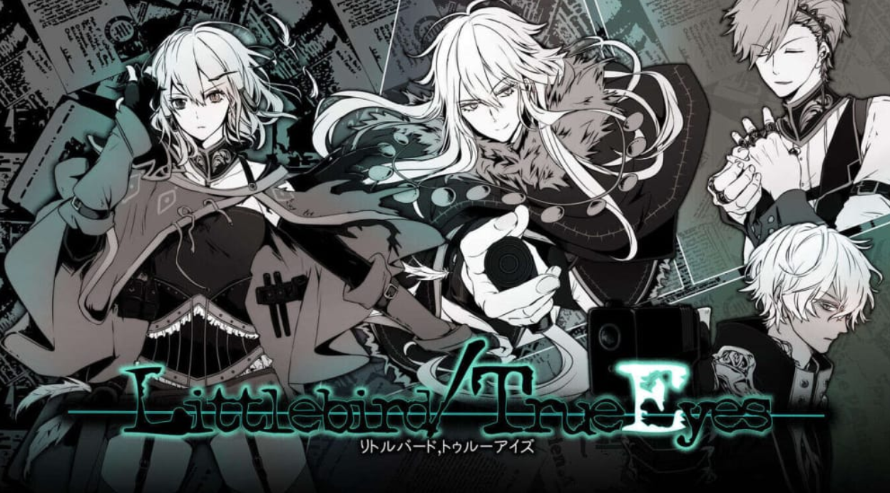 《小鸟/真眼 Littlebird/TrueEyes》Switch日文版NSP下载_0