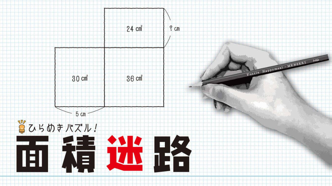 《闪烁的拼图 面积迷宫 MENSEKI Area maze puzzles》Switch英日文版NSZ下载_0