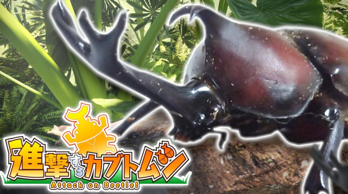 《攻击甲虫 Attack on Beetle》Switch英日文版NSP下载 – 含1.0.1补丁_0