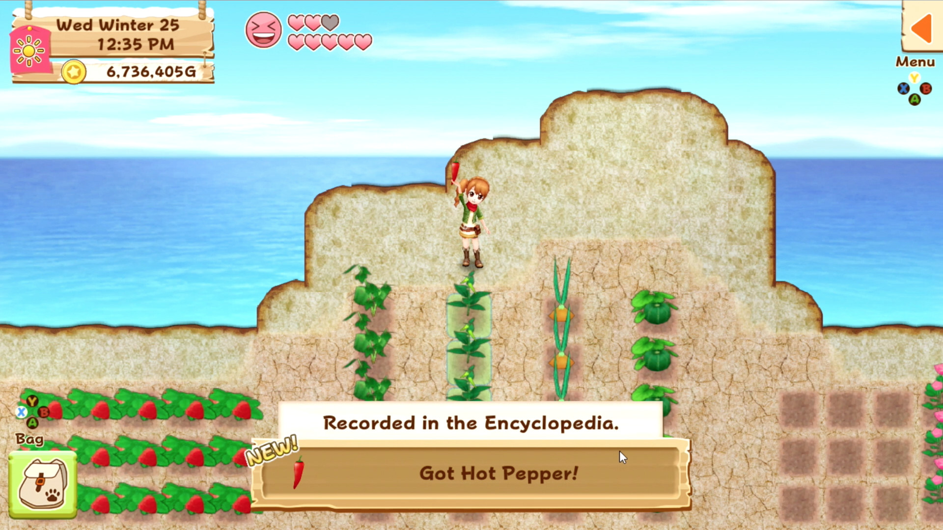 《牧场物语：希望之光特别版 Harvest Moon: Light of Hope》Switch英文版NSP下载 – 含1.0.1补丁_1