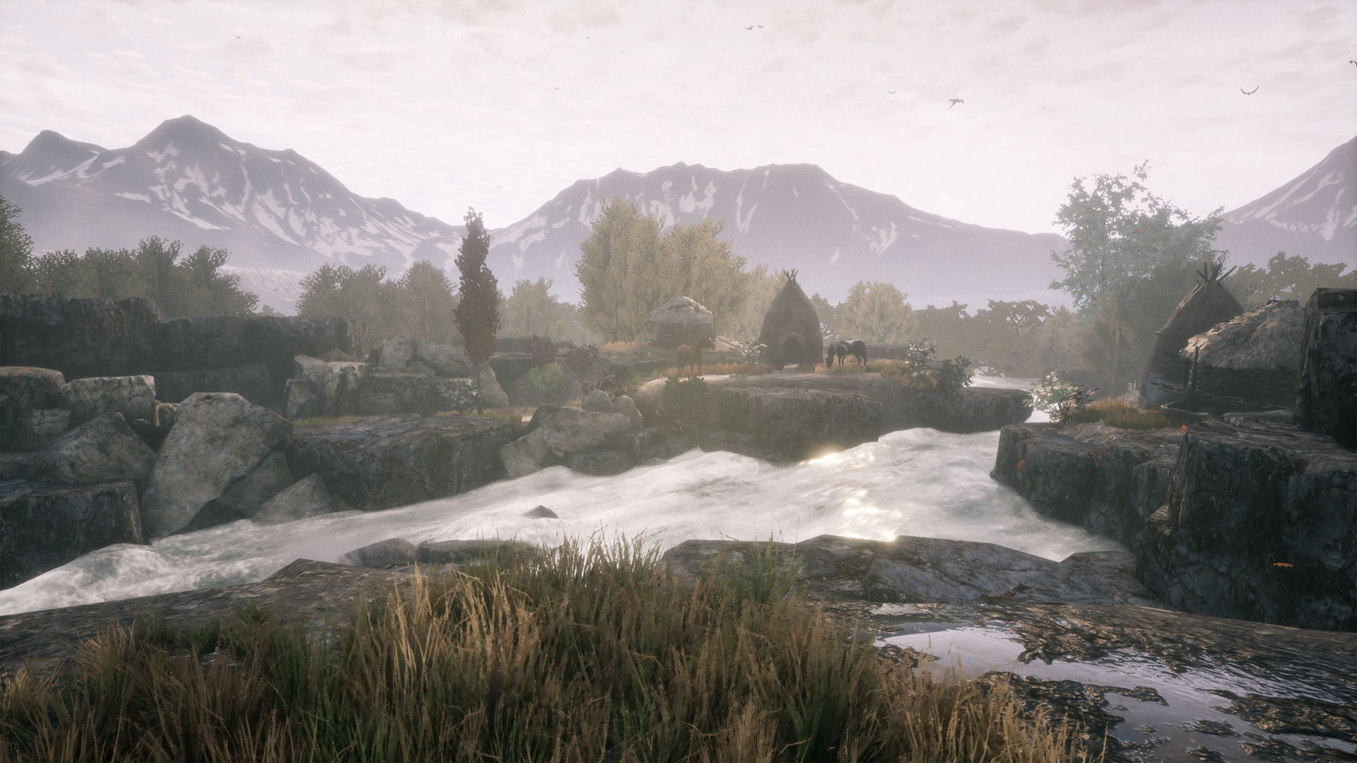 《兰古纳的枯树 The Dead Tree of Ranchiuna》Switch中文版NSP下载_1