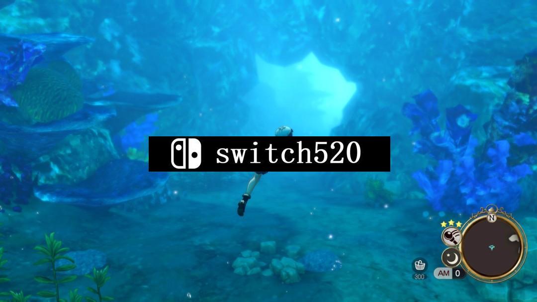 《莱莎的炼金工房2 失落传说与秘密妖精 DX》Switch日版中文NSZ下载 – 含1.1.0补丁_1