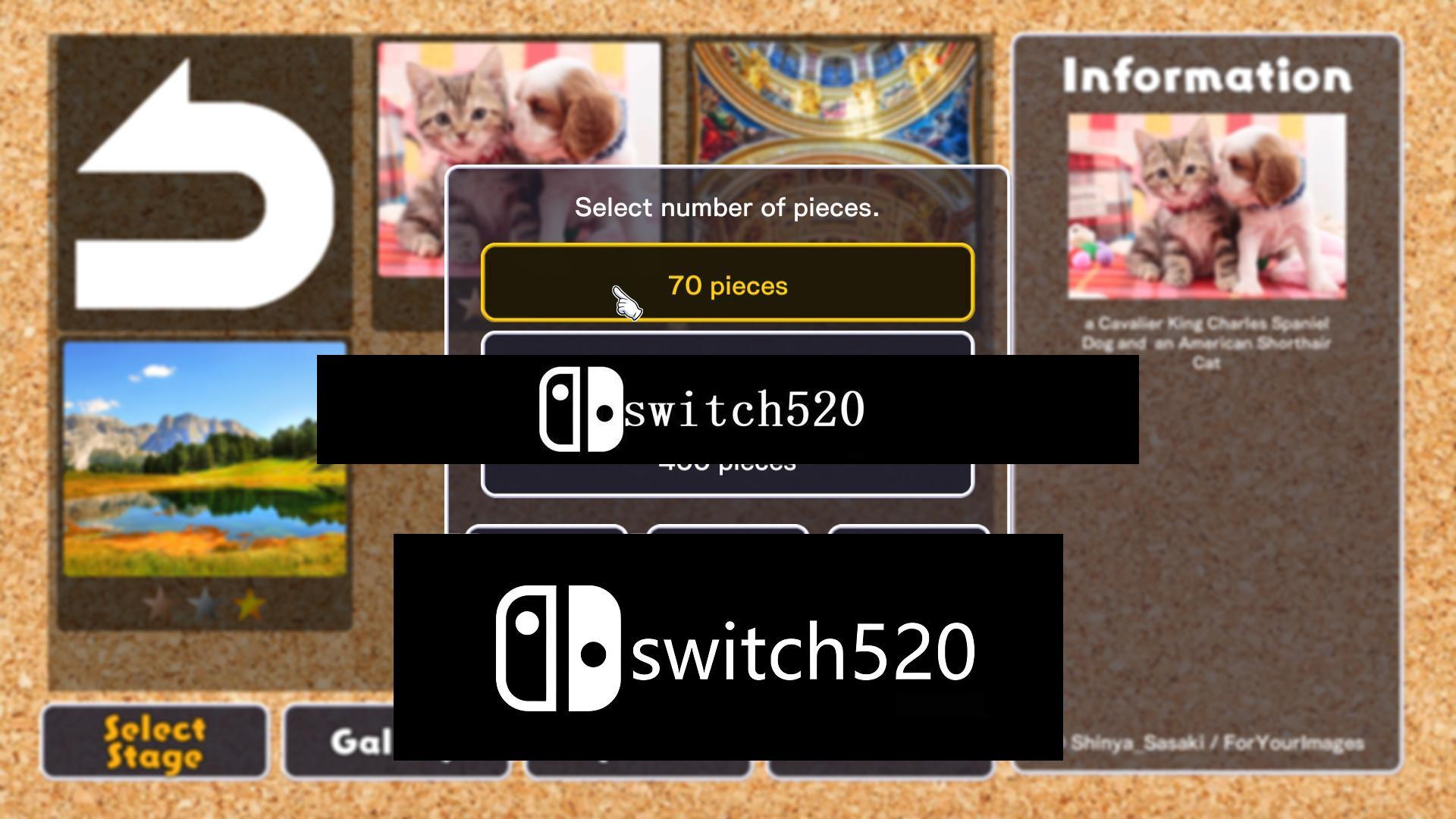 《拼图杰作 Jigsaw Masterpieces》Switch美版英文NSZ下载 – 含1.0.14补丁+61DLC_1