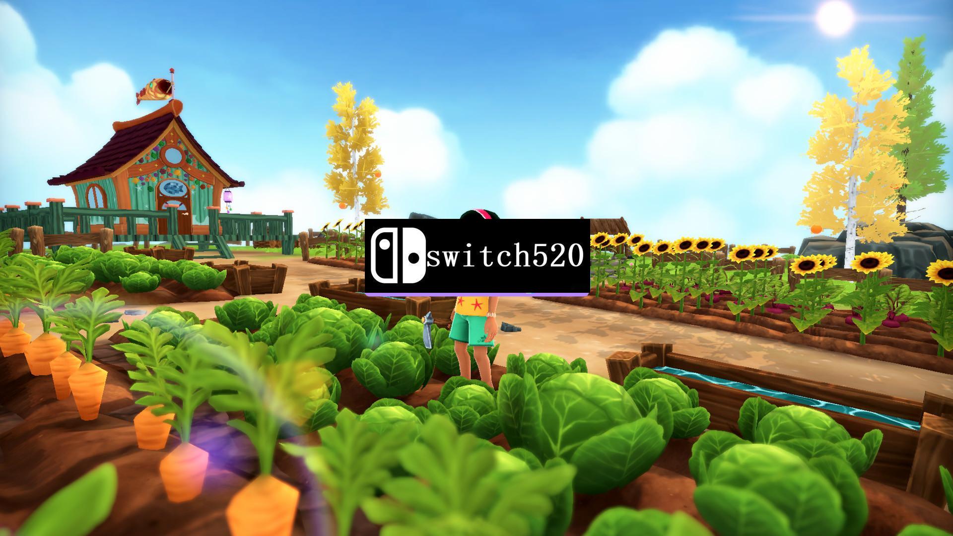 《玛拉的夏天 Summer in Mara Prologue》Switch英文版NSZ下载 – 含1.1.0补丁_2