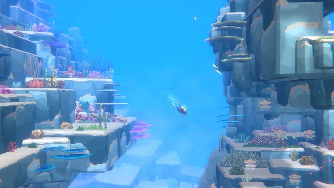 《潜水员戴夫 DAVE THE DIVER》Switch美版中文NSZ下载 – 含1.0.5.11.11补丁+5DLC_2