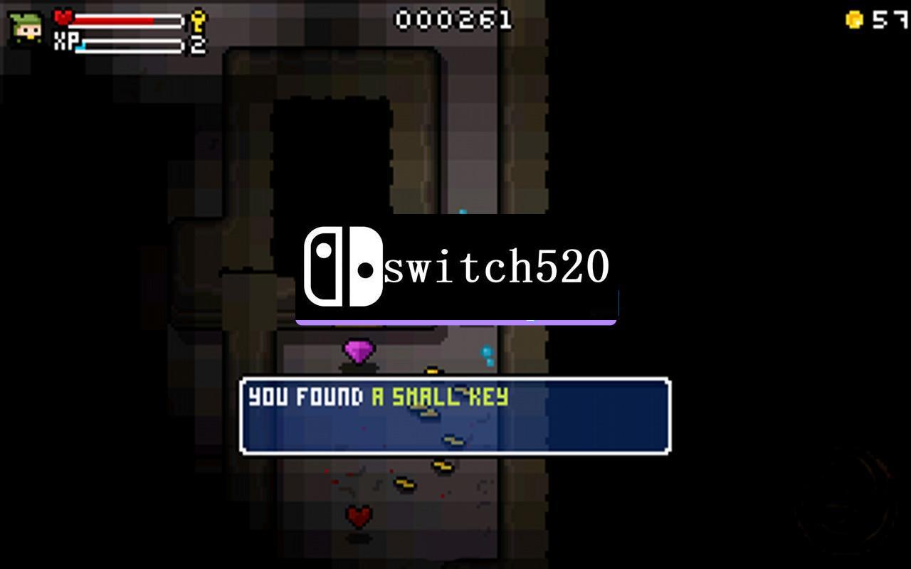 《乱世之王 Heroes of Loot》Switch英文版NSP下载 – 含1.0.0补丁_2