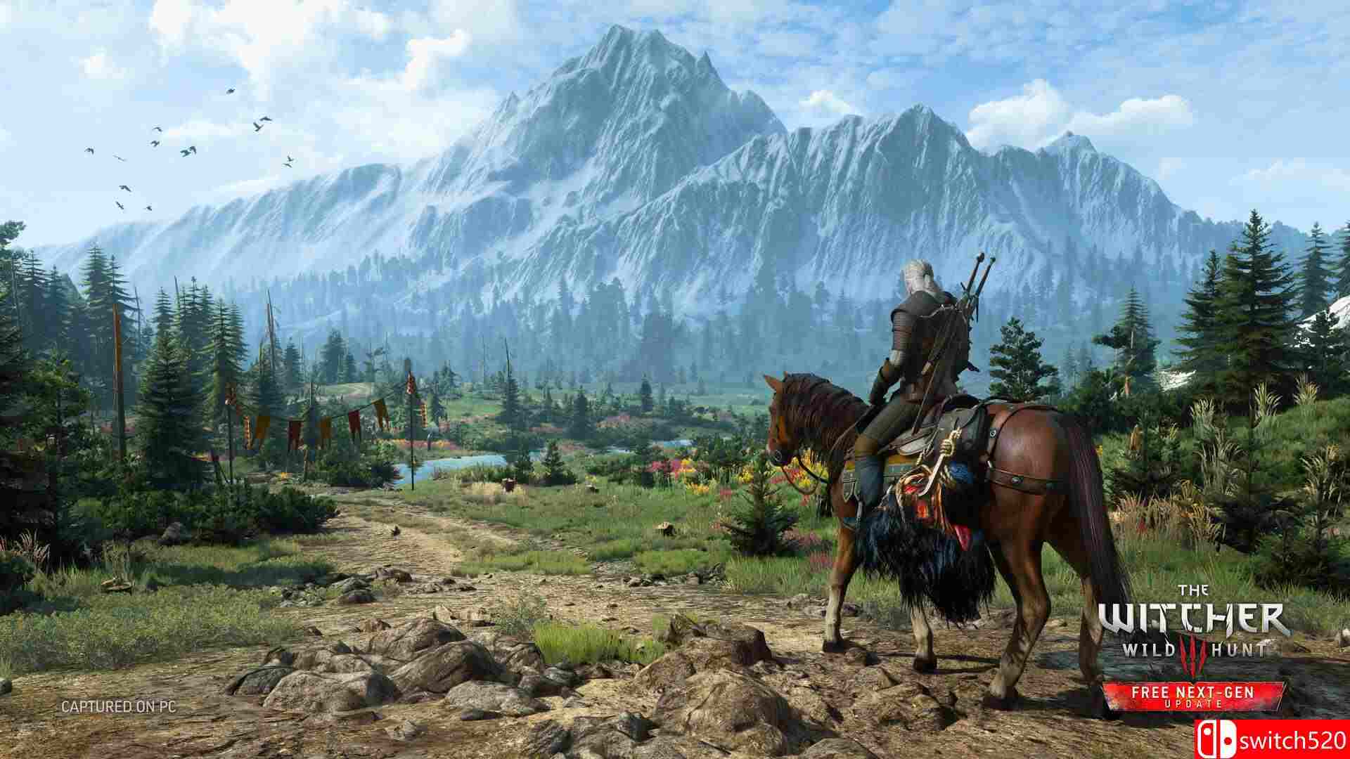 《巫师3：狂猎 The Witcher 3: Wild Hunt》Switch美版中文+4.04B补丁+5DLC_1