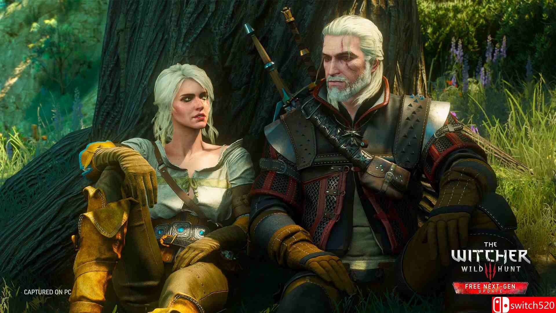 《巫师3：狂猎 The Witcher 3: Wild Hunt》Switch美版中文+4.04B补丁+5DLC_2