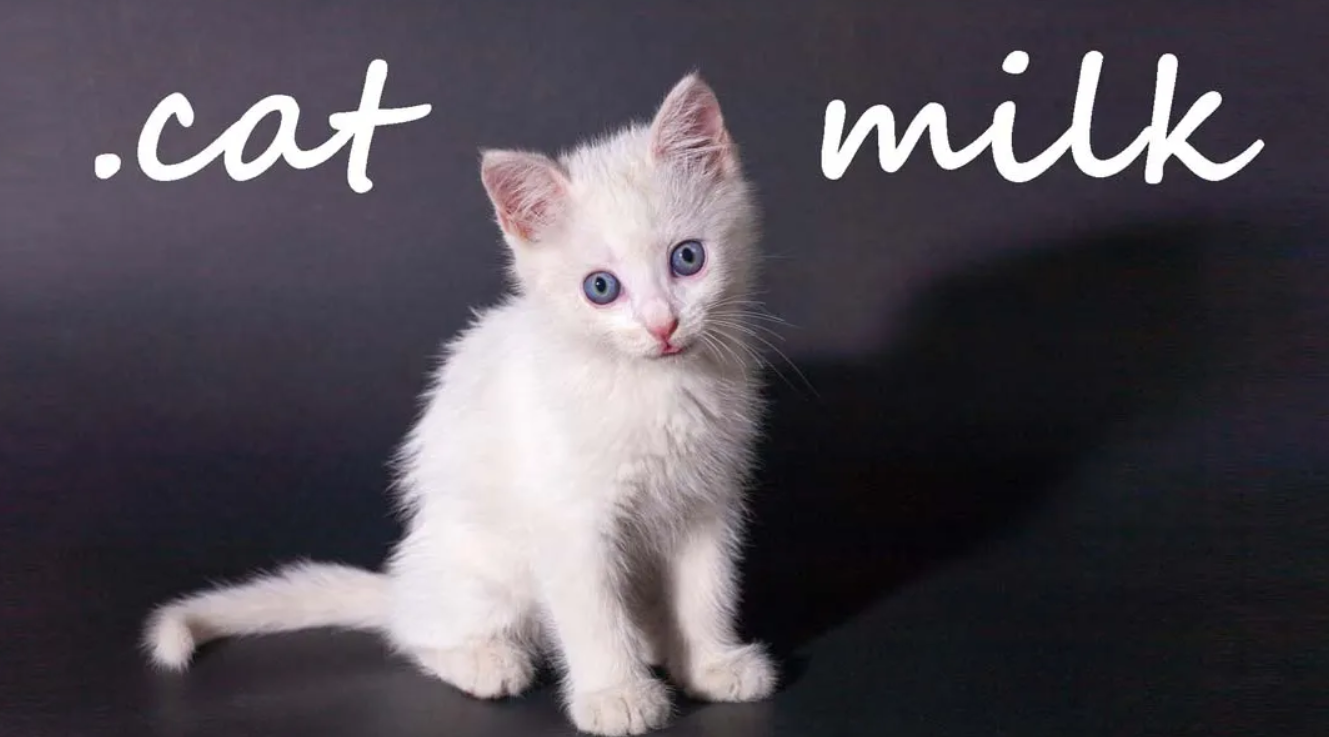 《猫奶 Cat Milk》Switch英文+1.0.0补丁_0