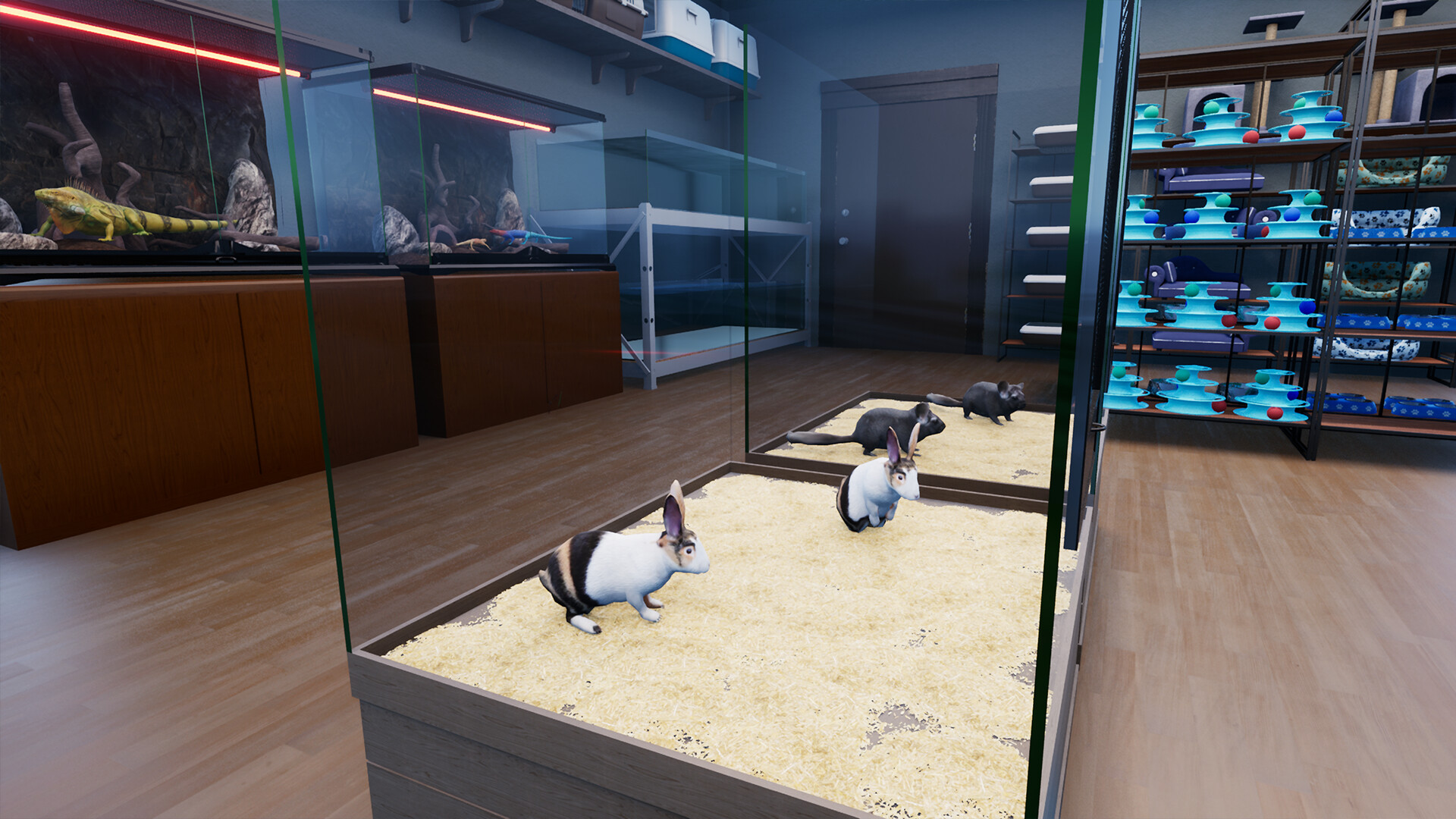《异域风情2：宠物店模拟器/Exotica 2: Pet Shop Simulator》PC中文版下载-含v1.1.6.1_1
