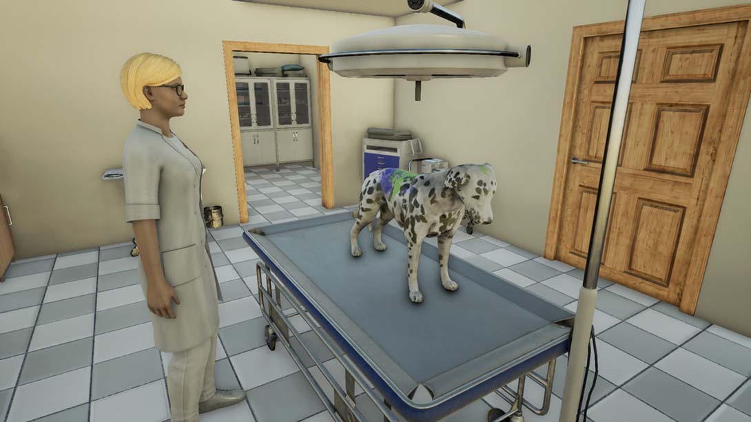 《兽医 Animal Doctor》Switch英文+1.0.5补丁_1