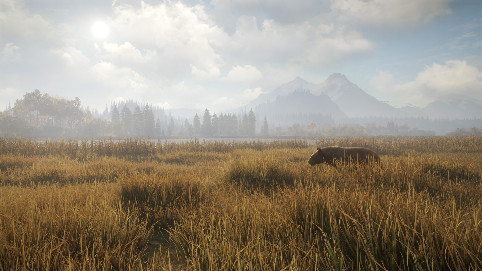 《猎人：荒野的召唤/theHunter: Call of the Wild》PC中文版下载-含Build.24022026联机版_1