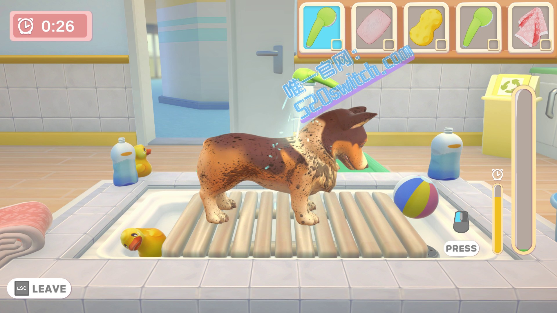 《我的领域：PET诊所猫和狗 My Universe – Pet Clinic Cats & Dogs》Switch美版英文+1.2.3补丁_1