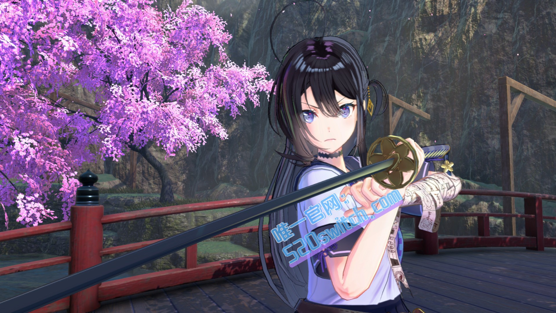 《武士少女 SAMURAI MAIDEN》Switch美版中文+1.60补丁+19DLC_2