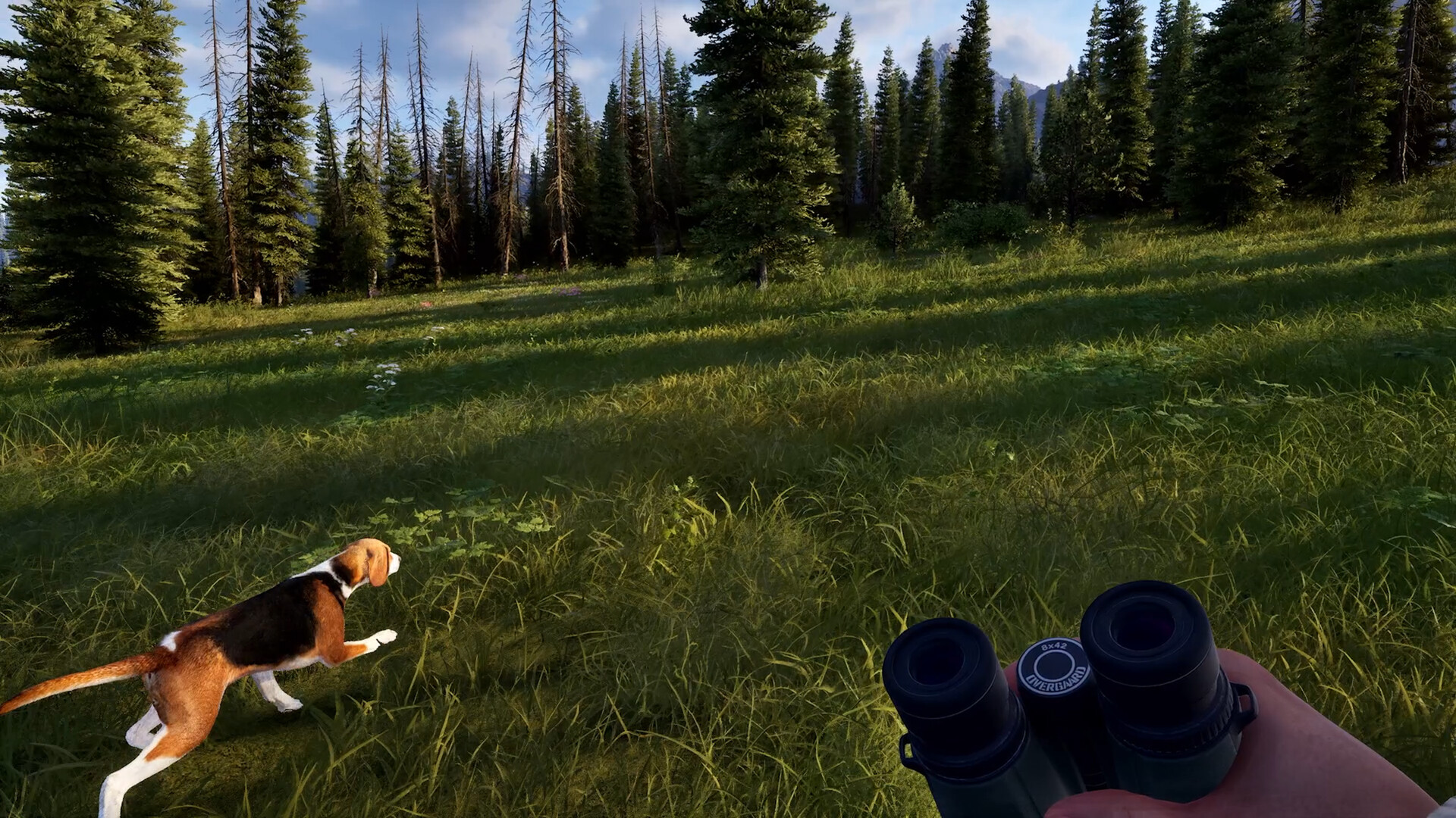 狩猎之道2/Way of the Hunter 2_2
