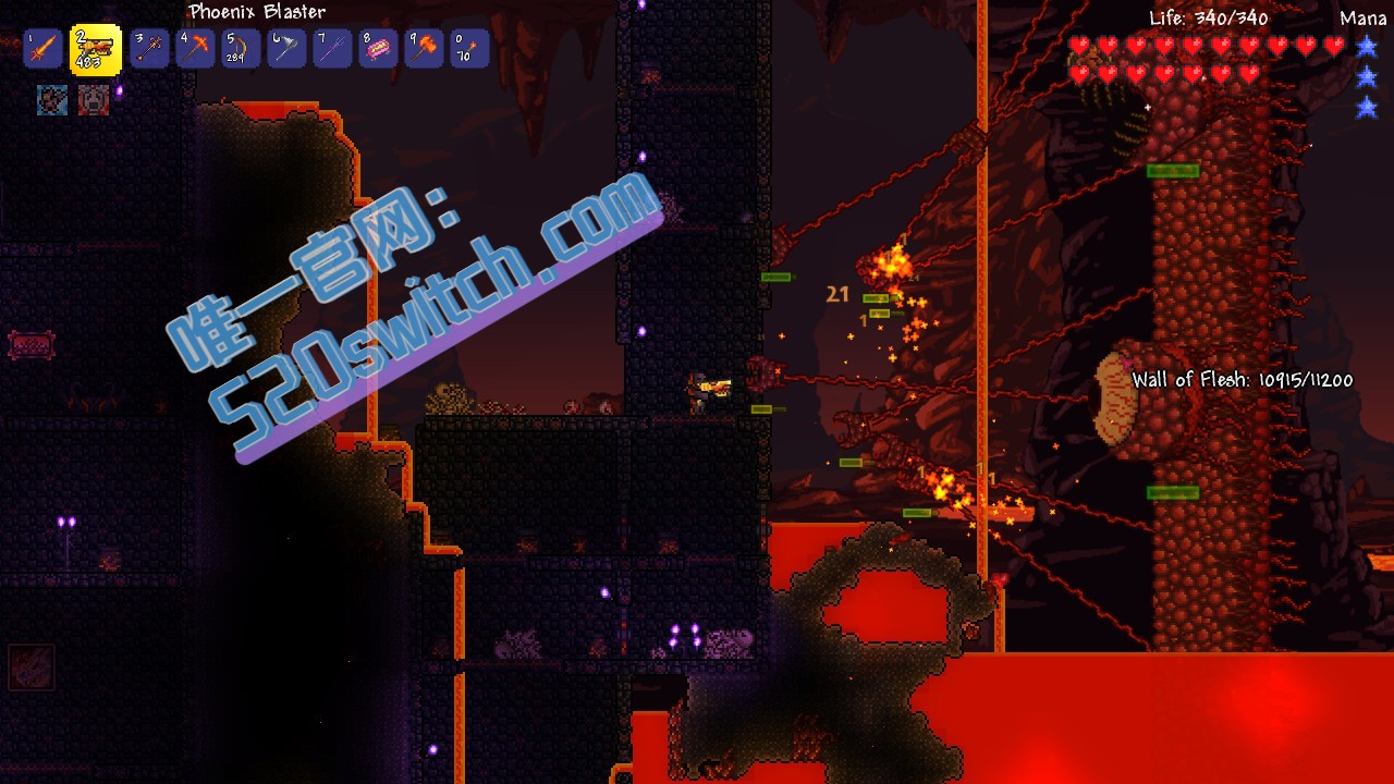 《泰拉瑞亚 Terraria》Switch版4.5.4补丁_1