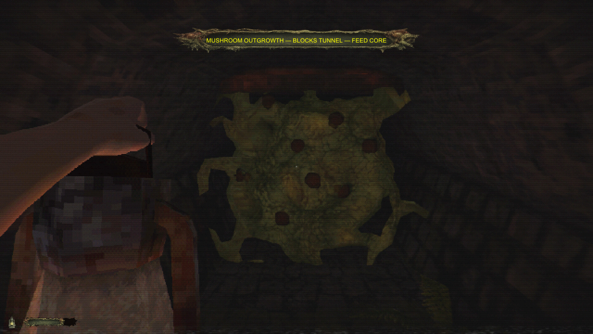 《CHWÆST：寄生恐怖来袭/CHWÆST: A Creeping Parasite Horror》PC中文版下载-含Build.22200974_1