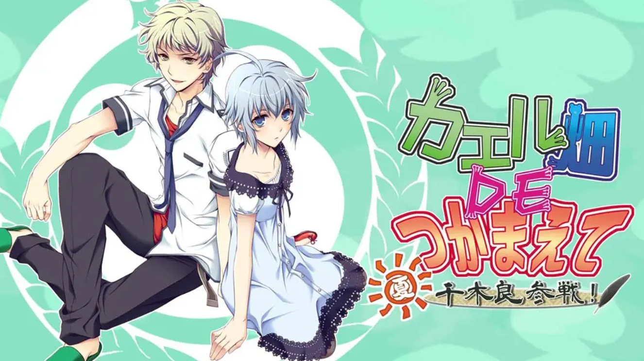 《青蛙田守望者夏千木良参战!》Switch版1.0.0补丁_0