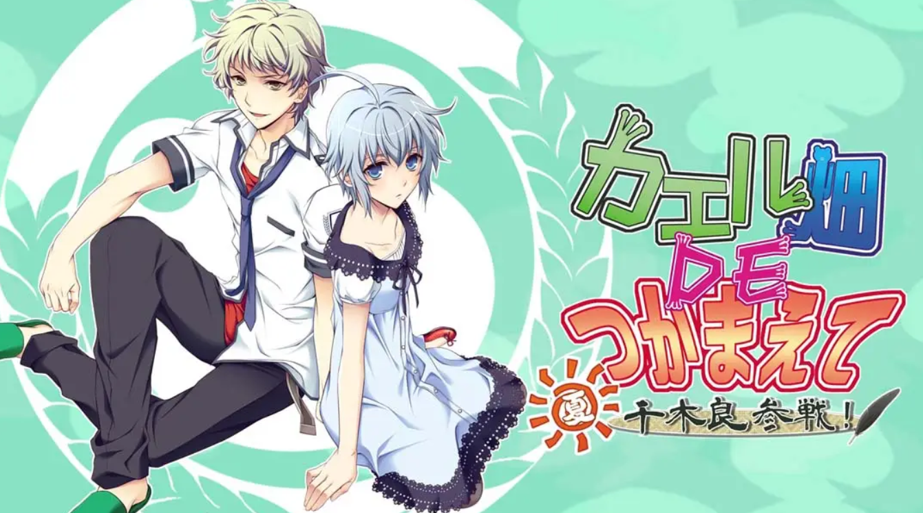 《蛙畑奇事 夏 千木良参战！Catch the frog field DE ・ Summer Chiki Ryo participates!》Switch版1.0.0补丁_0