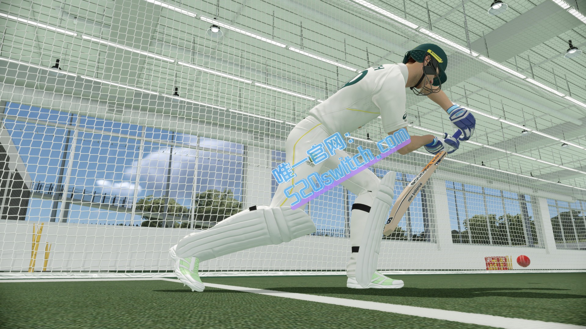 《国际板球2022 Cricket 22》Switch版1.3.0补丁_2