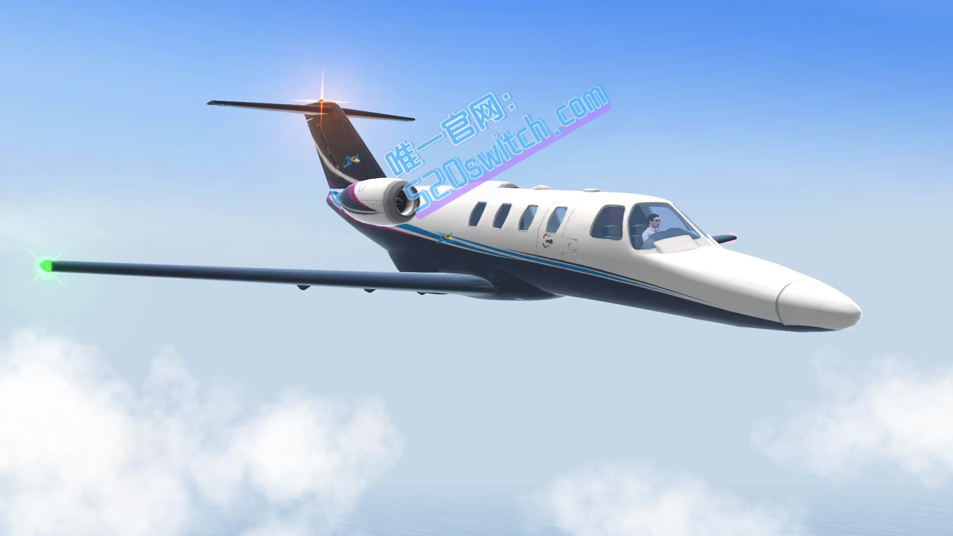 《起飞 – 飞行模拟器 Take Off – The Flight Simulator》Switch版1.0.0补丁_2