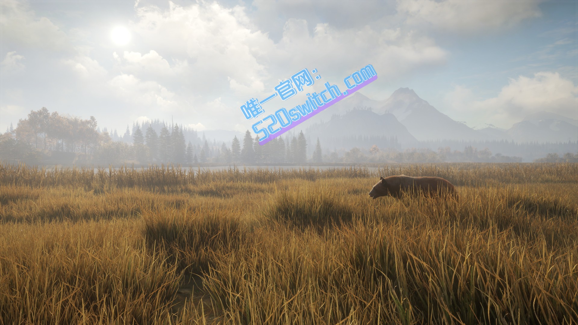 [5.05]《猎人荒野的召唤》PS4中文完整版+v2.02补丁+全DLC_1
