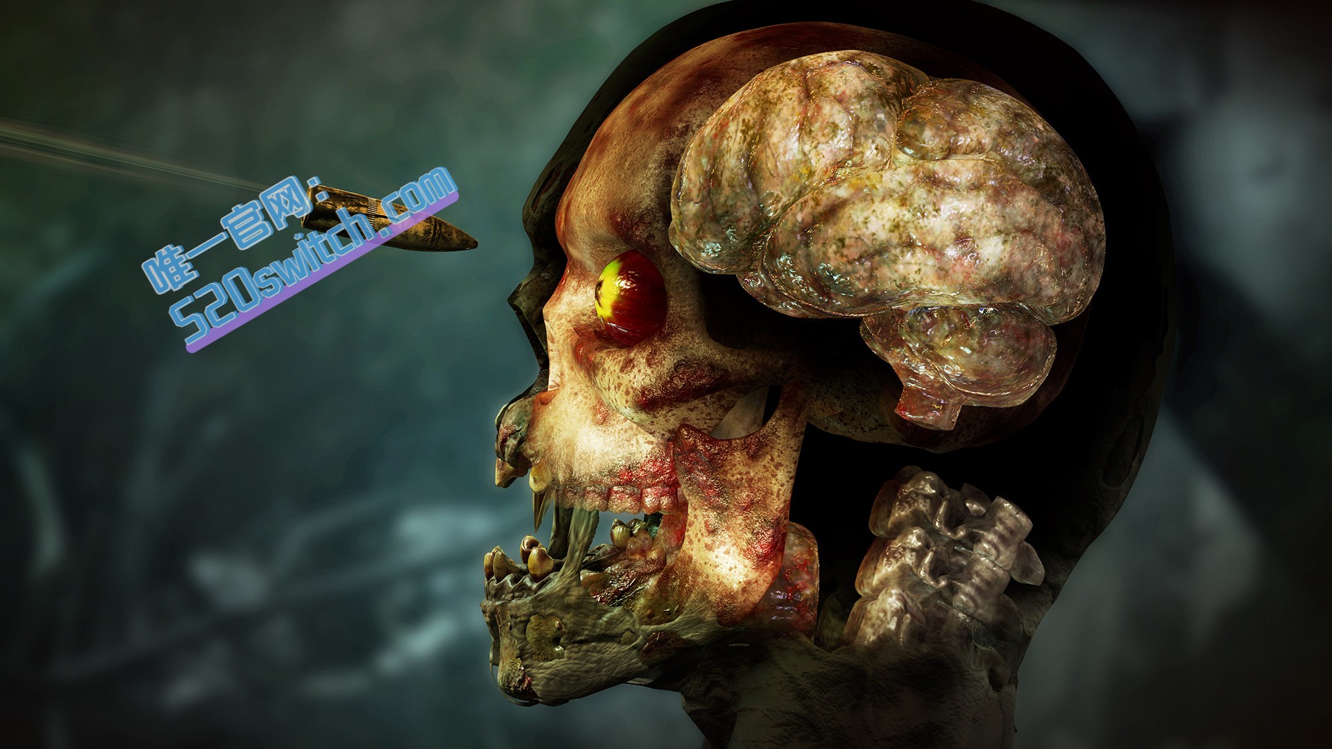 《僵尸部队4：死亡战争 Zombie Army 4: Dead War》Switch日版中文+1.1.0补丁+1DLC_2