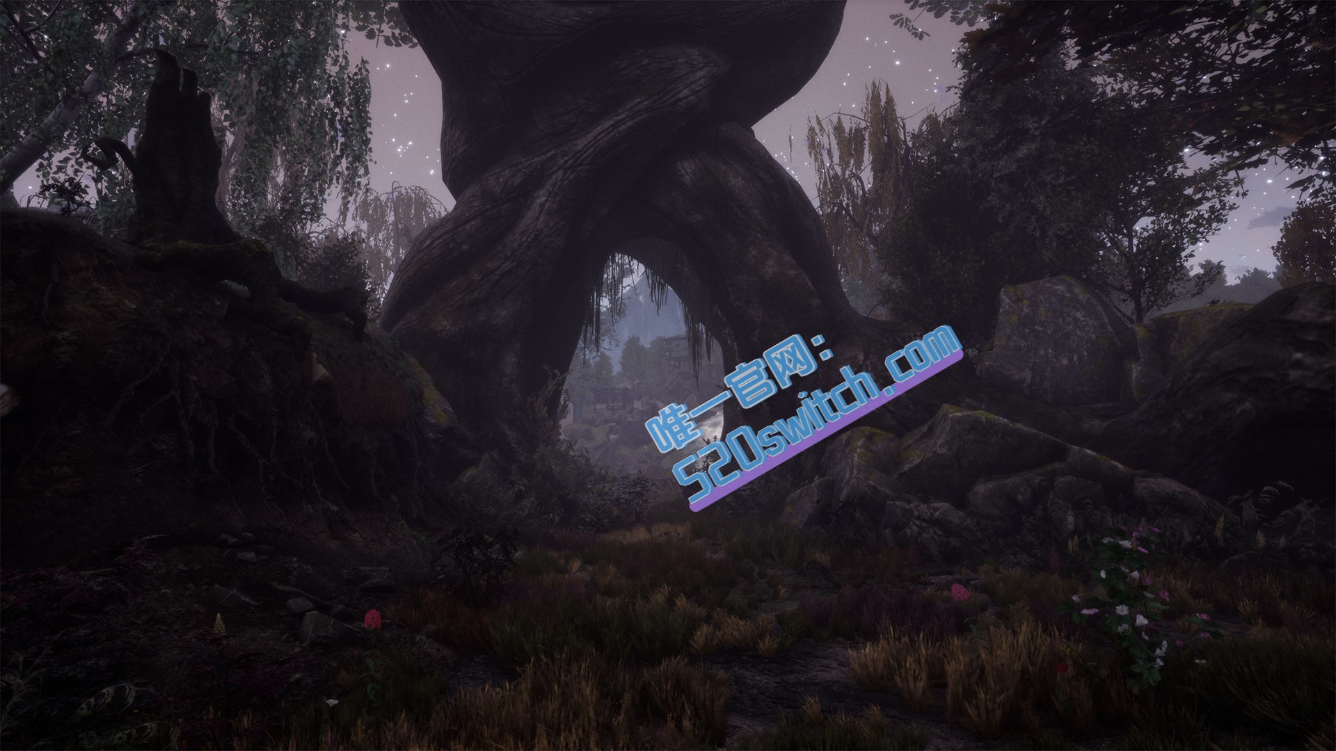 《兰古纳的枯树 The Dead Tree of Ranchiuna》Switch 1.0.0补丁_1