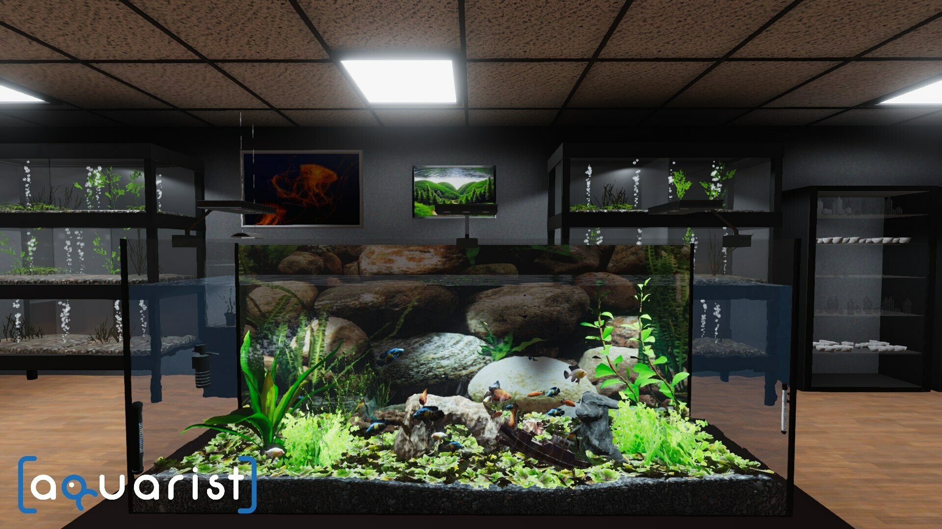 《水族馆管理人 Aquarist》Switch版1.1补丁_2