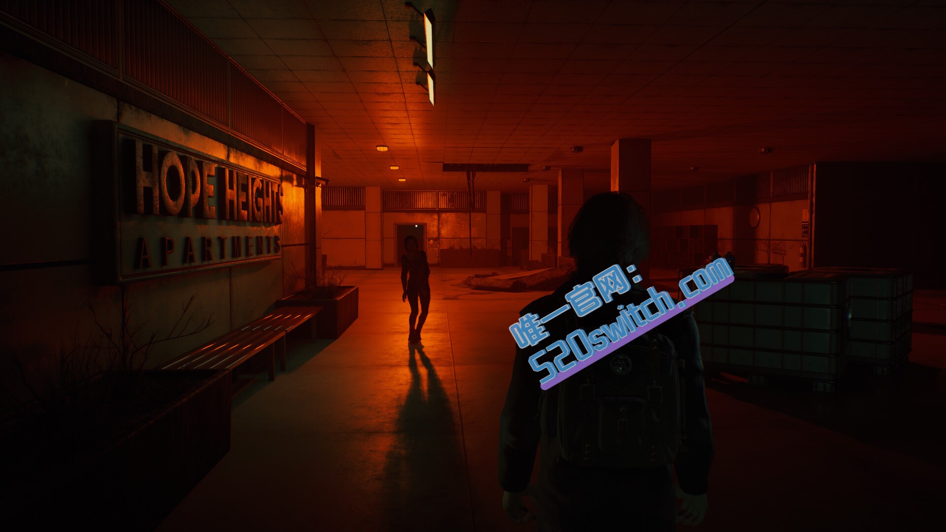 《Darker Skies》Switch 1.0.0补丁_1